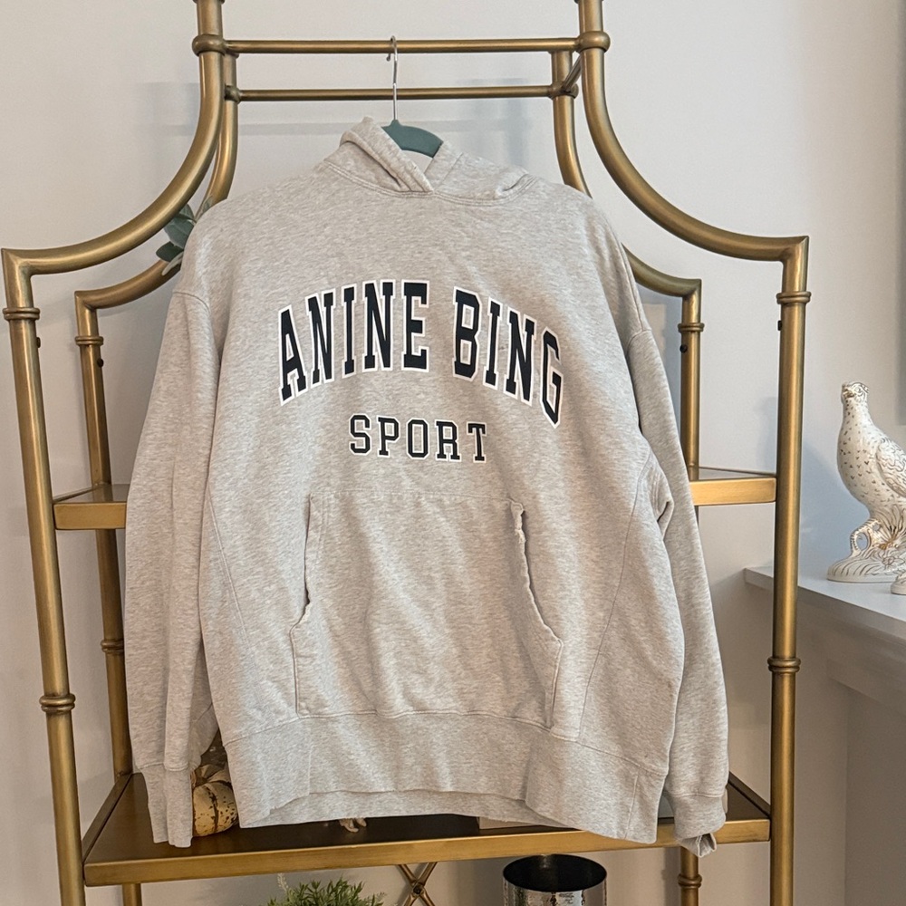 Anine Bing Sport Light Gray Hoodie